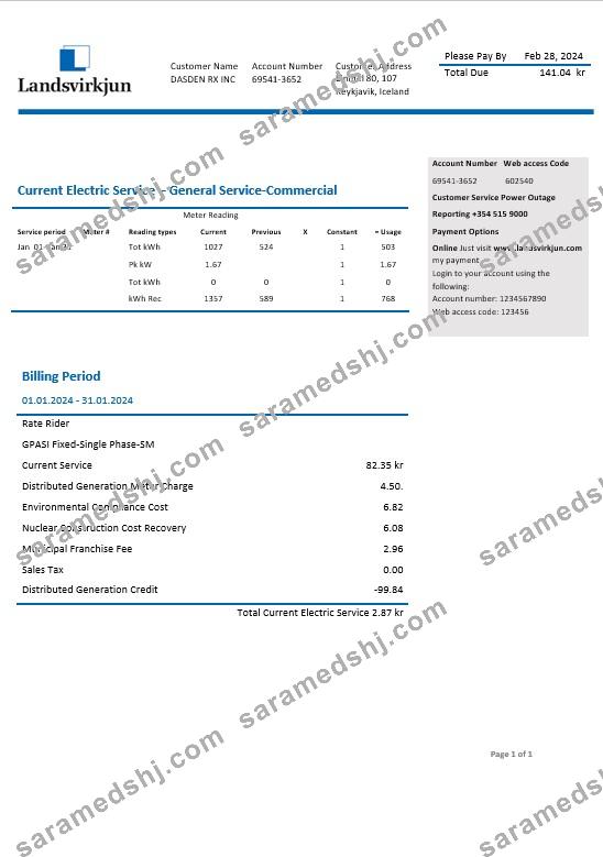 Iceland National Power Company of Iceland Landsvirkjun electricity business utility bill template in Word and PDF formats